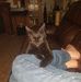 Profile Picture of Danny Alderman (@danny.alderman.3194) on Facebook
