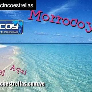 Profile Picture of Basilio Dominguez (Morrocoy Cinco Estrellas) (@morrocoy5estrellas) on Facebook