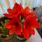 Profile Picture of Mary Sierzega (@mary.sierzega.1) on Facebook