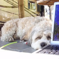 Profile Picture of Denny Hansen (@denny-hansen-1) on Quora