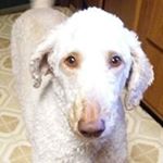 Profile Picture of Michael Walborn (@walbornm) on Instagram