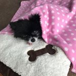 Profile Picture of Karen Hinds (@karen.hinds.980) on Instagram