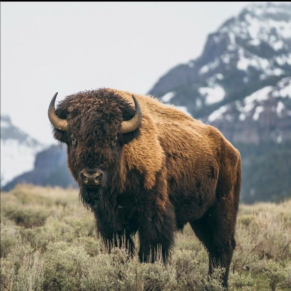 Profile Picture of Michael Kennedy (@miketkennedy) on Poshmark