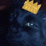 Profile Picture of Amanda Raye (@amandaraye__) on Instagram
