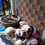 Profile Picture of Nora Avilés (@nora.aviles.9619) on Instagram