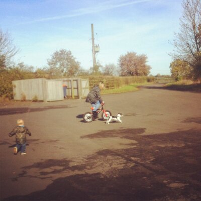 Sarah - Twitter Profile Picture of Sarah (@MarlaWhip) on Twitter