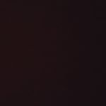 Profile Picture of Edward & Snowden (@honest_opinionsofworld) on Instagram