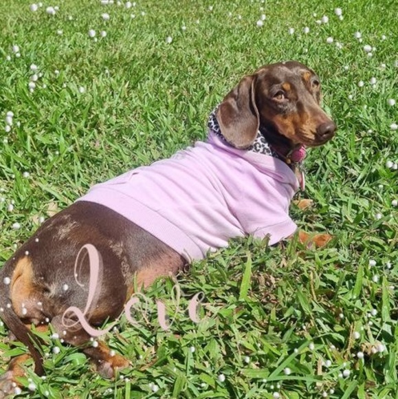 Profile Picture of Mandy Lloyd (@amandalloyd65) on Poshmark