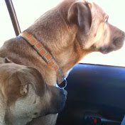 Profile Picture of Stephanie N Joseph Arquette (@stephanienjosepharquette6204) on Youtube