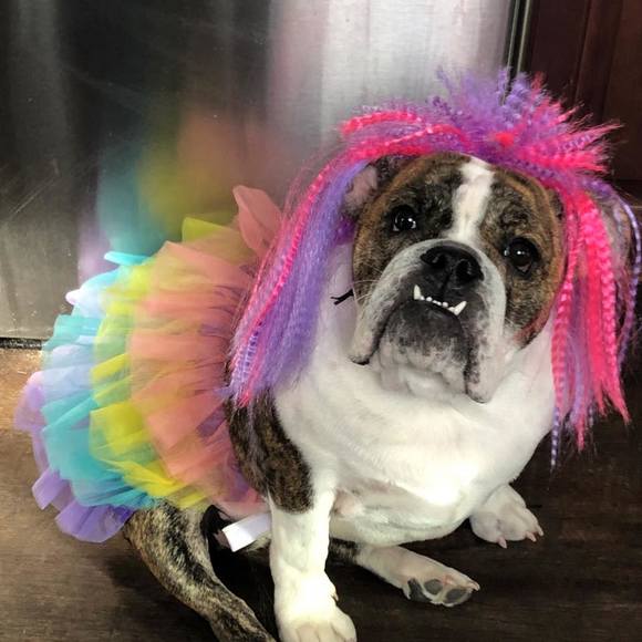 Profile Picture of Chrystal Gonzalez (@queenboss4life) on Poshmark