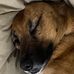 Profile Picture of James Tooley (@james.tooley.775) on Facebook