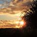Profile Picture of Michael Melnyk (@amelnyk0920) on Pinterest