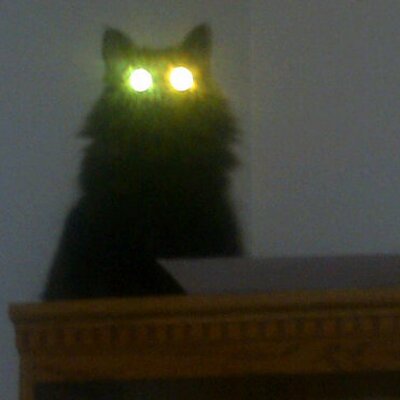 Profile Picture of Brian (@BrianLiggett1) on Twitter