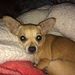 Profile Picture of Terry Scott (@terrylynnscott6) on Pinterest