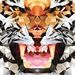 Profile Picture of Aaron Concepcion (@x22766x) on Pinterest