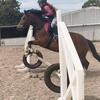 Profile Picture of Tamara Holmes (@@tamara.equestrian) on Tiktok