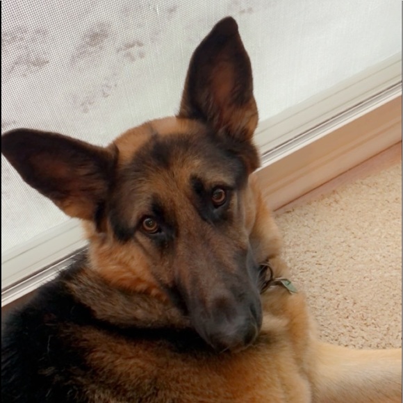 Profile Picture of Hailey Fischer (@haileyfischer_) on Poshmark