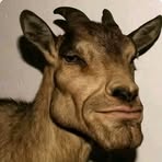 Profile Picture of Charly Zimmermann (@Charly-Zimmermann) on Facebook