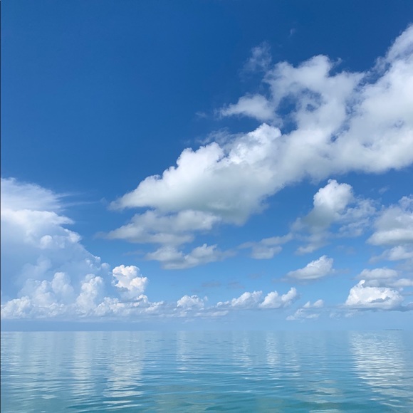 Autumn Wolf - Poshmark Profile Picture of Autumn Wolf (@autumngw23) on Poshmark