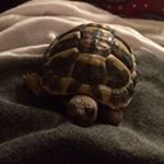 Profile Picture of andrewtheller84 (@andrewtheller84) on Instagram