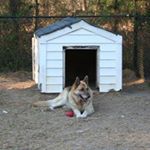 Profile Picture of Stefan Fehr (@67byrd) on Instagram