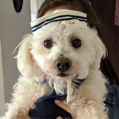 Profile Picture of Christopher Sherwood-Gabrielson (@Christo05301606) on Twitter