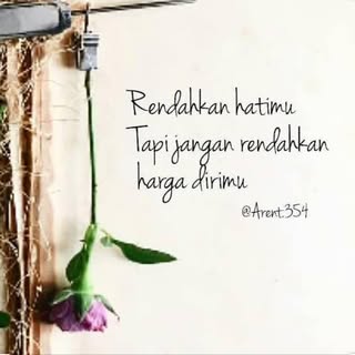 Profile Picture of adaM Hand (@hand.adam) on Instagram