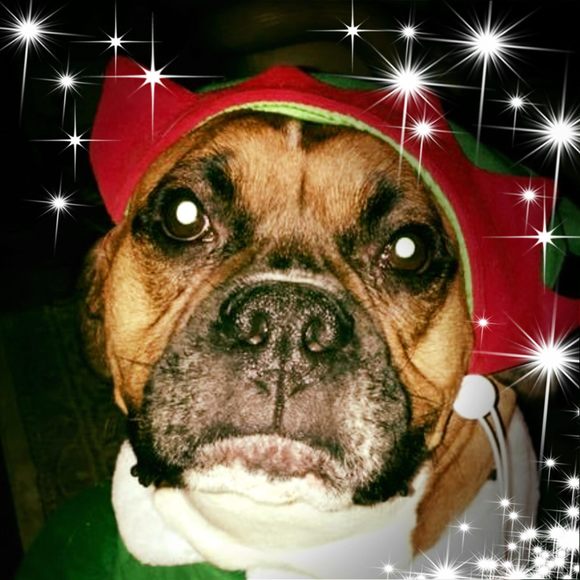 Profile Picture of Debbie Walker fonseca (@romeo27) on Poshmark