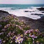 Profile Picture of Andy Devane (@devane.andy) on Instagram