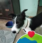 Profile Picture of Dorothy Mullinax (@dorothy.mullinax.338863) on Facebook