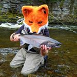 Profile Picture of Jacob Fox (@fishfearfox) on Instagram