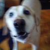 Profile Picture of John Modrzejewski (@emmanem12345) on Tiktok