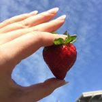 Profile Picture of Kelsey Appleton (@frootloupe) on Instagram