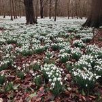 Profile Picture of Paula Loughlin (@paulaloughlin) on Instagram