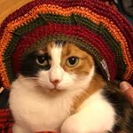 Profile Picture of Bobbi Prielozny Gannello (@prieloznygannello) on Instagram