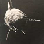 Profile Picture of Conor Boyle (@conor_boyle_art) on Instagram