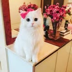 Profile Picture of Cintadalam Derita (@Cintadalam-Derita) on Facebook