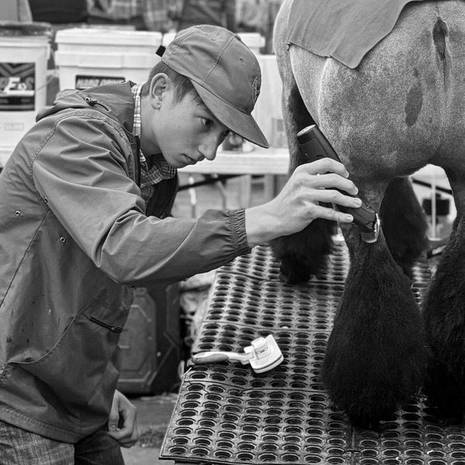 Profile Picture of 🃏Matthew🃏 (@matthew.mazzaro) on Tiktok