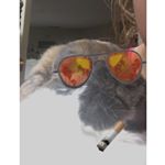 Profile Picture of jeffrey but i go by jeff (@jeffreyrabbit) on Instagram