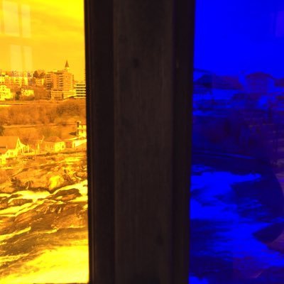 Profile Picture of Tom Seuss (@SeussTom) on Twitter