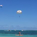 Profile Picture of ANNE NEVILLE BROADDUS (@annenevilleb) on Instagram