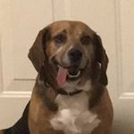Profile Picture of Cooper (@cooper__manning) on Instagram