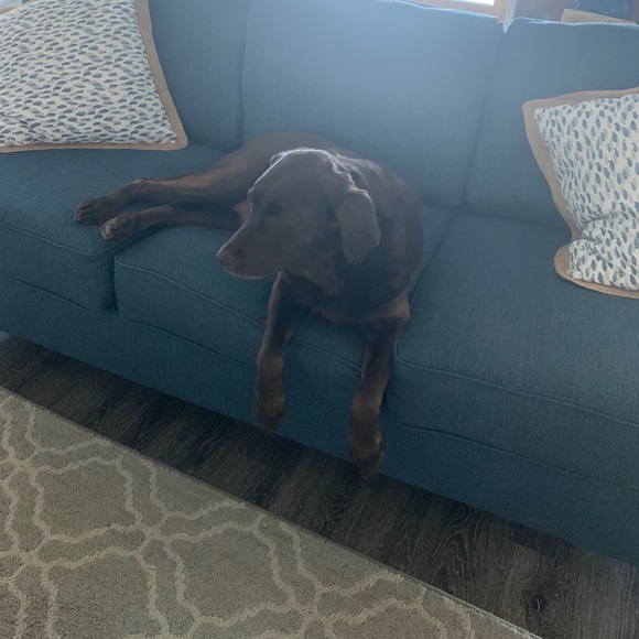 Profile Picture of Ian Miller (@millerian16972) on Poshmark