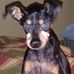 Profile Picture of Eric Meinke (@eric.meinke.75) on Facebook