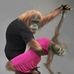 Profile Picture of Brenda Hawkes (@brenda.hawkes.90) on Facebook