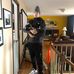 Profile Picture of Gavin Forrest (@gavin.forrest.52) on Facebook
