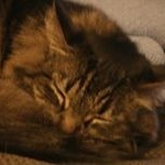 Profile Picture of Ronda Hanson (@ronda_reellady) on Instagram