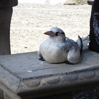 Profile Picture of Melissa Kim Fowler (@MelissaKimFowle) on Twitter