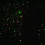 Profile Picture of Caleb Muse (@perturbed_peter) on Instagram