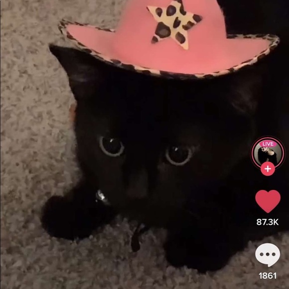 Profile Picture of Nicolle Berroa (@nicolleberroa) on Poshmark